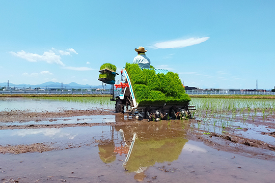水田の中を走るトラクター